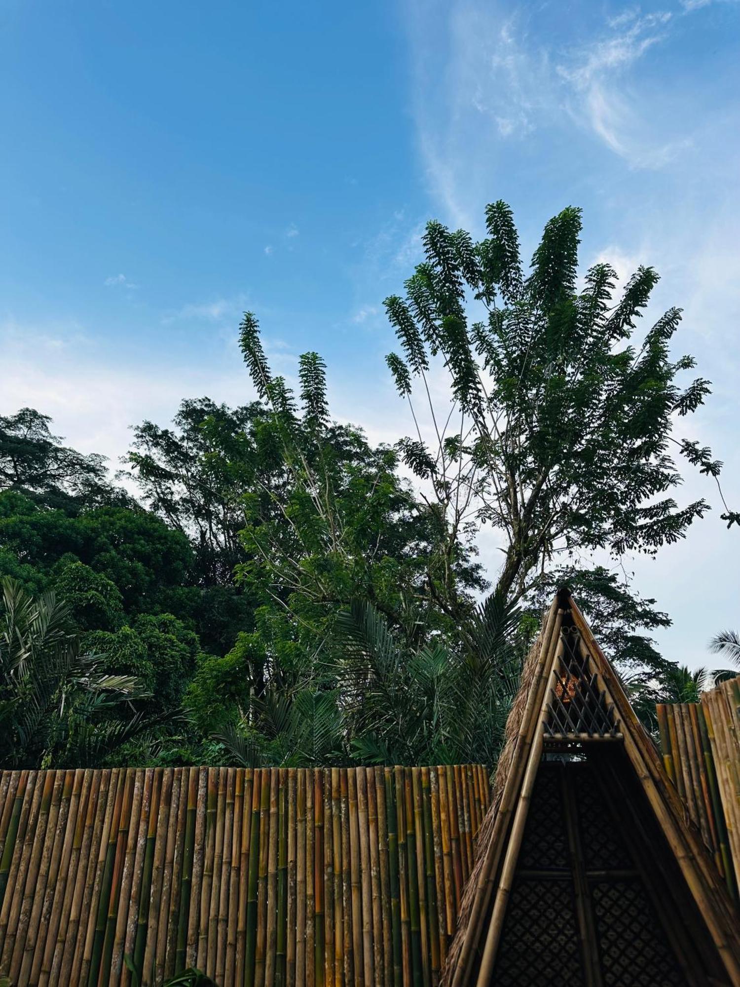 希德门Bamboo House - Ecobreeze别墅 外观 照片